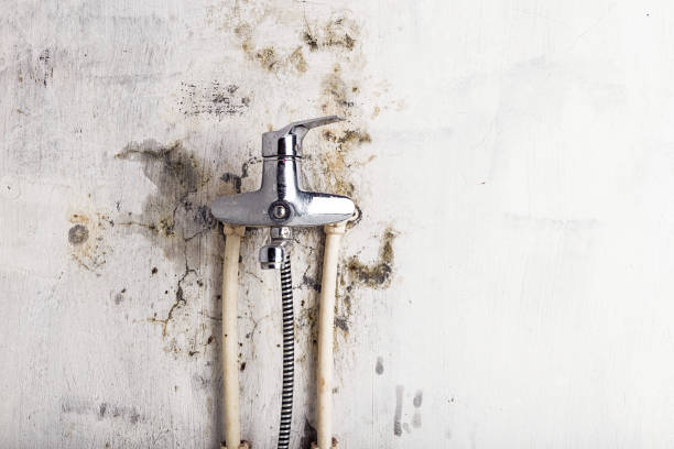 Best Mold Remediation  in Godley, TX