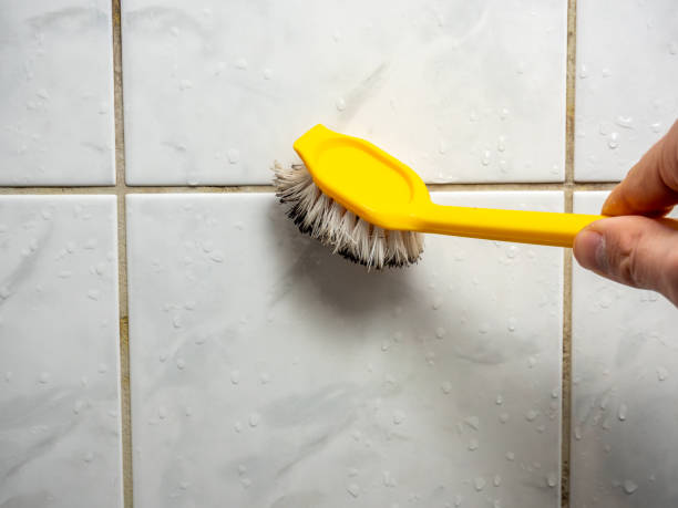 Best Emergency Mold Removal  in Godley, TX