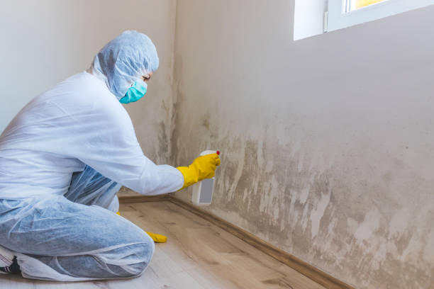 Best Mold Removal Process  in Godley, TX
