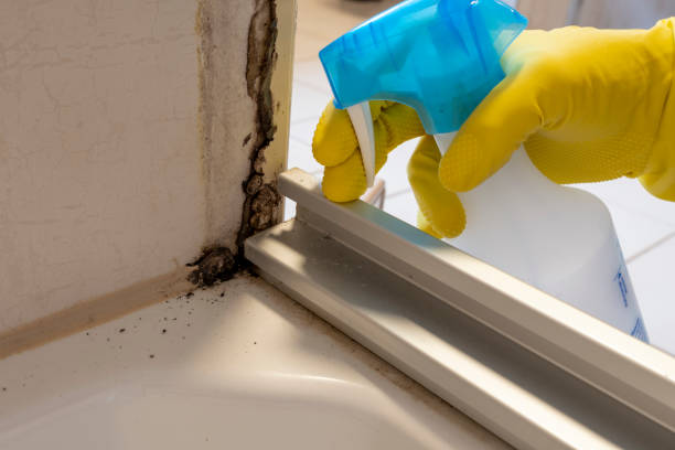 Best Residential Mold Removal  in Godley, TX