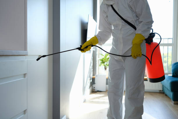 Best Crawl Space Mold Removal  in Godley, TX