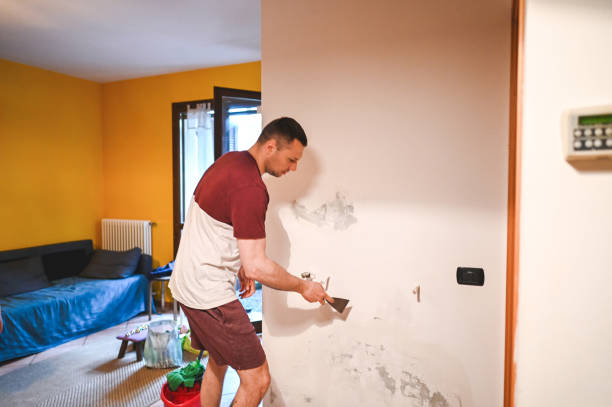 Best Local Mold Removal Service  in Godley, TX