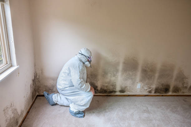 Best Mold Testing  in Godley, TX