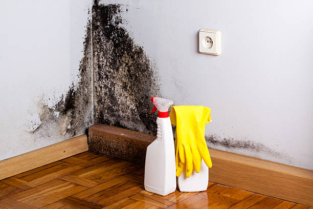 Best Mold Testing  in Godley, TX