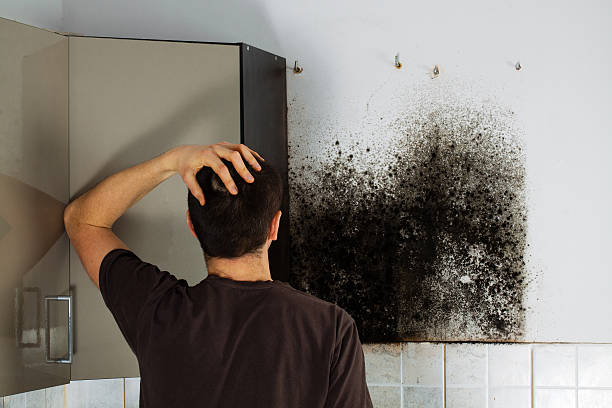 Best Mold Removal Near Me  in Godley, TX